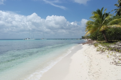 Isla Saona in der Dominikanischen Republik (Alexander Mirschel)  Copyright 
Informazioni sulla licenza disponibili sotto 'Prova delle fonti di immagine'